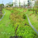 옛 정의현성 이미지