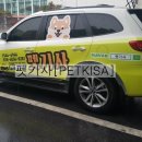 A+ 펫택시 네이버블로그