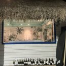 브리사 마리나 이미지