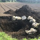 치수농장 이미지