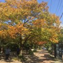 골목아구찜(거제동) 이미지