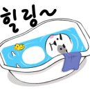 마스터 홍 태권도 이미지