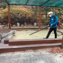 서울수락초등학교 이미지