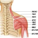 큐브짐구서점