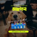 하늘동물약국 이미지