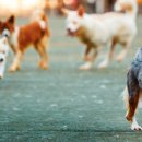 클럽300(394) 이미지