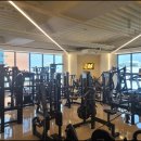 머슬메모리 이미지