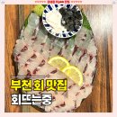 오늘의생선상동 | 부천 상동 횟집 [회뜨는중] 여름 보양식 민어회 지리탕 부천 이자카야 맛집 추천 솔직후기