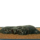 석실로7 이미지