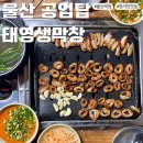 울산 공업탑 맛집 태영생막창 구워주는 막창 현지인 맛집