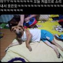 같이