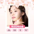 파라디아성형외과의원 네이버블로그
