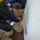 지금! 여수 이미지