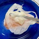 경기도 수원시 권선구 덕영대로1201번길 42 (권선동) | 수원 배달 맛집 추천 정직회포장 배달의민족 쿠팡이츠 회포장 내돈내산 솔직후기