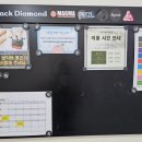 프리월 클라이밍짐