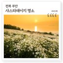 노루목길2 | 샤스타데이지 명소 부안 변산마실길, 노을 배경 샤스타데이지 꽃물결 황홀