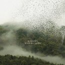 (유)미르산림개발 | 영화 <종이 울리는 순간> 후기.