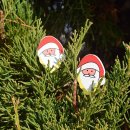 제이에이치 컴퍼니 이미지