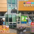 푸른나래 태권도 교육관 이미지