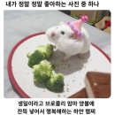 6/29-7/10 체력은 쓰면 쓸수록 는다