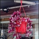 돌곶이역 7번출구 이미지