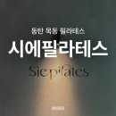 (주)이리스공간그룹 | [경기도 화성] 동탄 목동 시에필라테스, 내돈내산, 수강 후기, 그룹 레슨, 개인 레슨