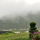 콩사랑 - 세종특별자치시 | 콩사랑