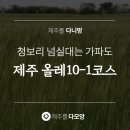 다모앙 제주