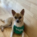 도니바니 이미지