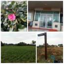 하도면수동경로당 이미지