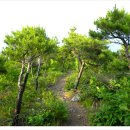 강릉임해자연휴양림 이미지