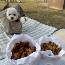 함덕 숨어있는집 이미지