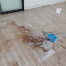 오렌지크린 - 광진구 자양로15길 73 | 강남사무실청소 제대로 하는 곳 찾았다, 오렌지크린 방문 청소 리얼 후기