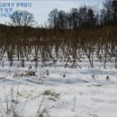 상용보건진료소 네이버블로그