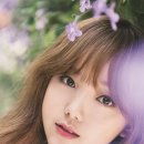 인디케이 이미지