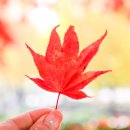 바다위 산아래 | 제천 단풍 여행지 근처 먹거리