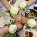 쏠비치 리조트 삼척 | 삼척 쏠비치 애견동반 숙소 리조트 스위트 펫 프렌들리룸 후기 내돈내산