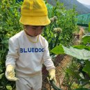 (지역사회연계) 텃밭/모래놀이터 이미지