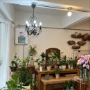 현대자동차정발산점 이미지