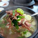 유성식당(따로국밥) | 24시간 영업으로 아침식사 겸 해장음식으로도 좋은 대전 유성구 국밥 맛집! 태평소국밥