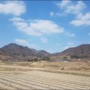 경천중학교 이미지