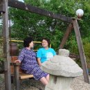 늘푸름농장 이미지