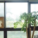 주식회사 블라인드 이미지
