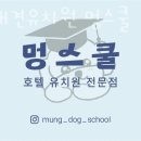 멍스쿨 전주애견유치원 애견호텔 네이버블로그
