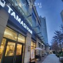 1073 | 이의동미용실 타마시헤어 광교점 가격 위치 영업시간
