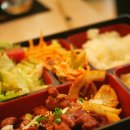 2025 순천 댕댕트레인 이미지