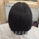 지봉로143번길 | 모류교정펌 후기 미용실 기간 정보