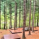 덕유산자연휴양림 이미지