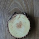 주왕산황토방 이미지