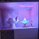 부흥로315번길 18 이미지